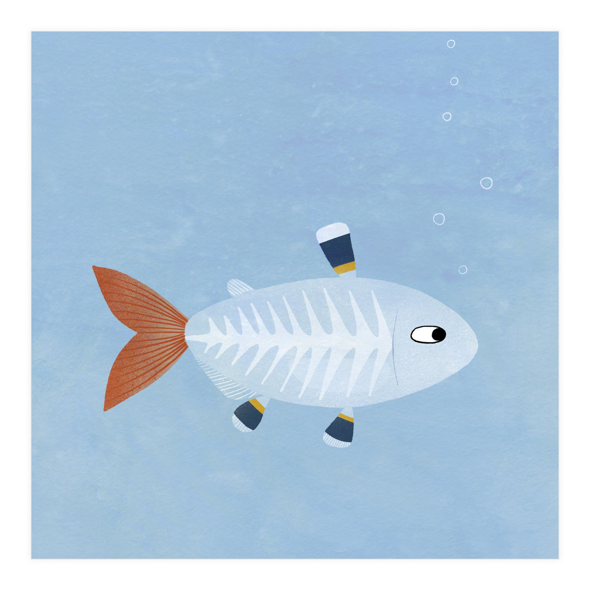 X Ray Tetra (Print Only)