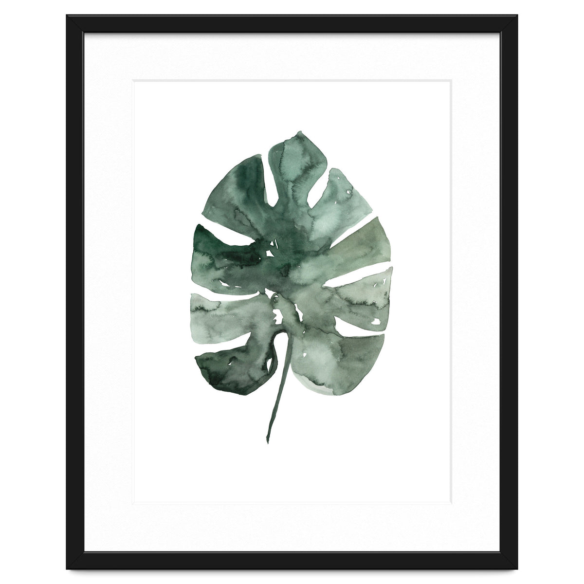 Botanical Illustration Monstera Leaf