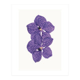 Cc Flower 06 (Print Only) thumbnail