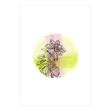 Succulent On Pink And Green (Print Only) thumbnail