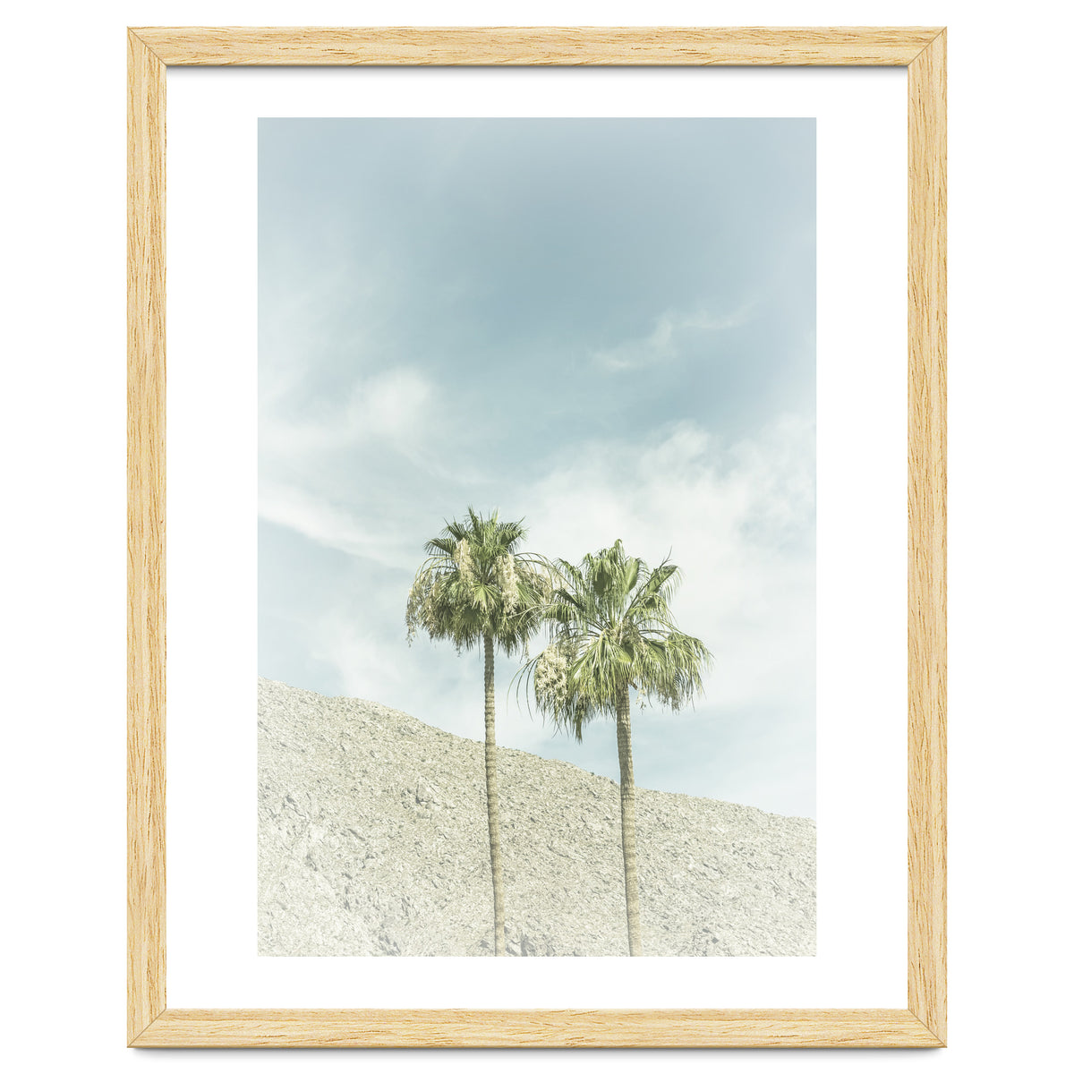 Palm Trees in the desert | Vintage