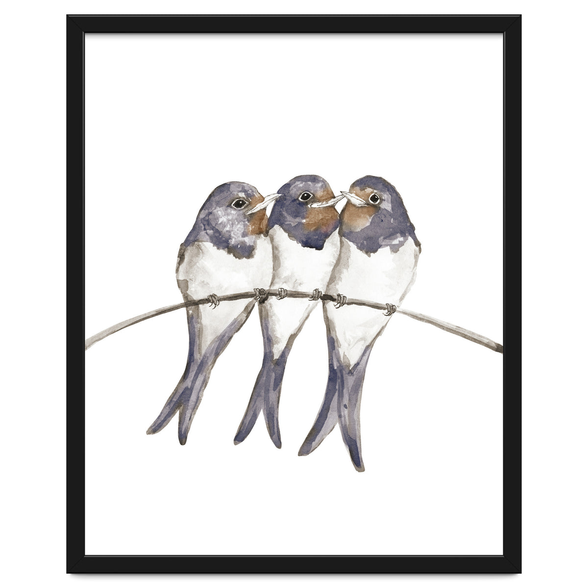 Three young swallows