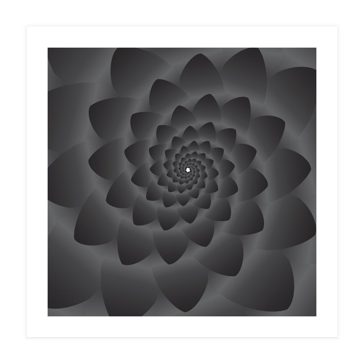 3 D Modern Black Floral (Print Only)