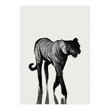 Tiger  (Print Only) thumbnail