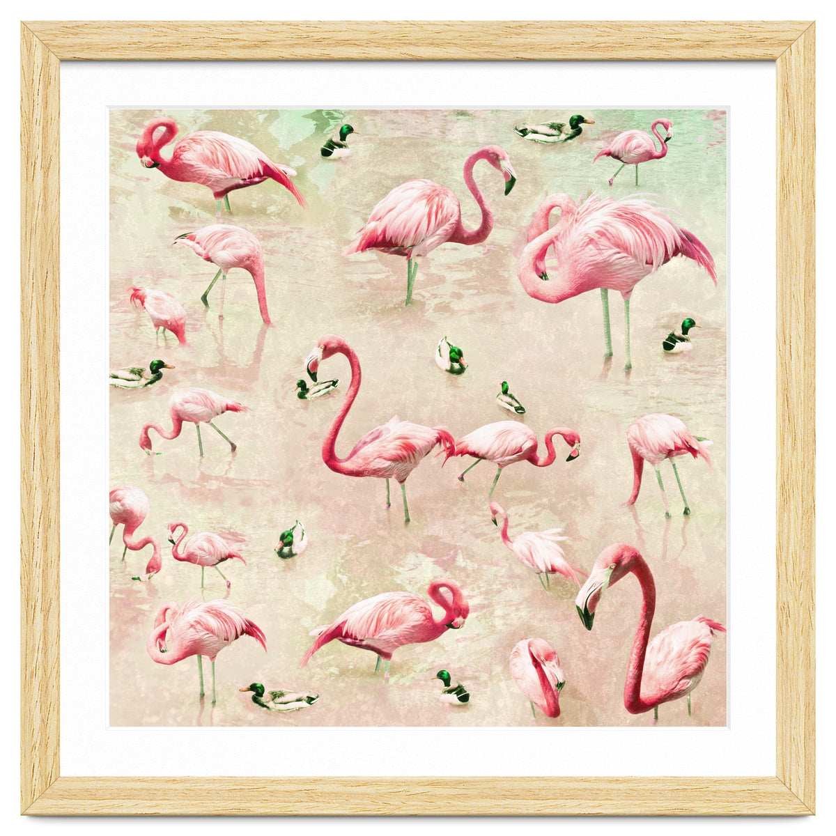 Flamingos Vintage Pink
