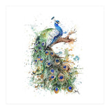 Peacock - Wildlife Collection (Print Only) thumbnail