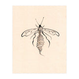 Wasp (Print Only) thumbnail