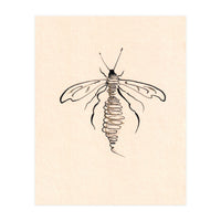 Wasp (Print Only)