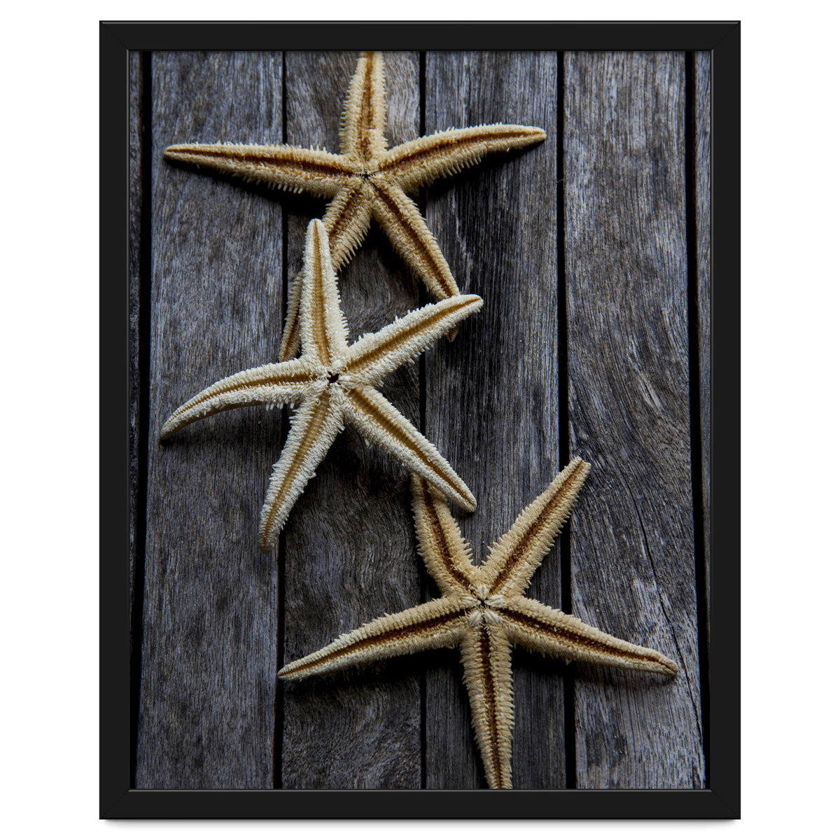 Starfishes in wooden