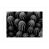 Cactus (Print Only) thumbnail