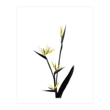 Flower Minimal Black And Gold 05 (Print Only) thumbnail