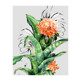 Collage of florid nature  (Print Only) thumbnail