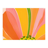 Rainbow Bloom Botanical (Print Only) thumbnail