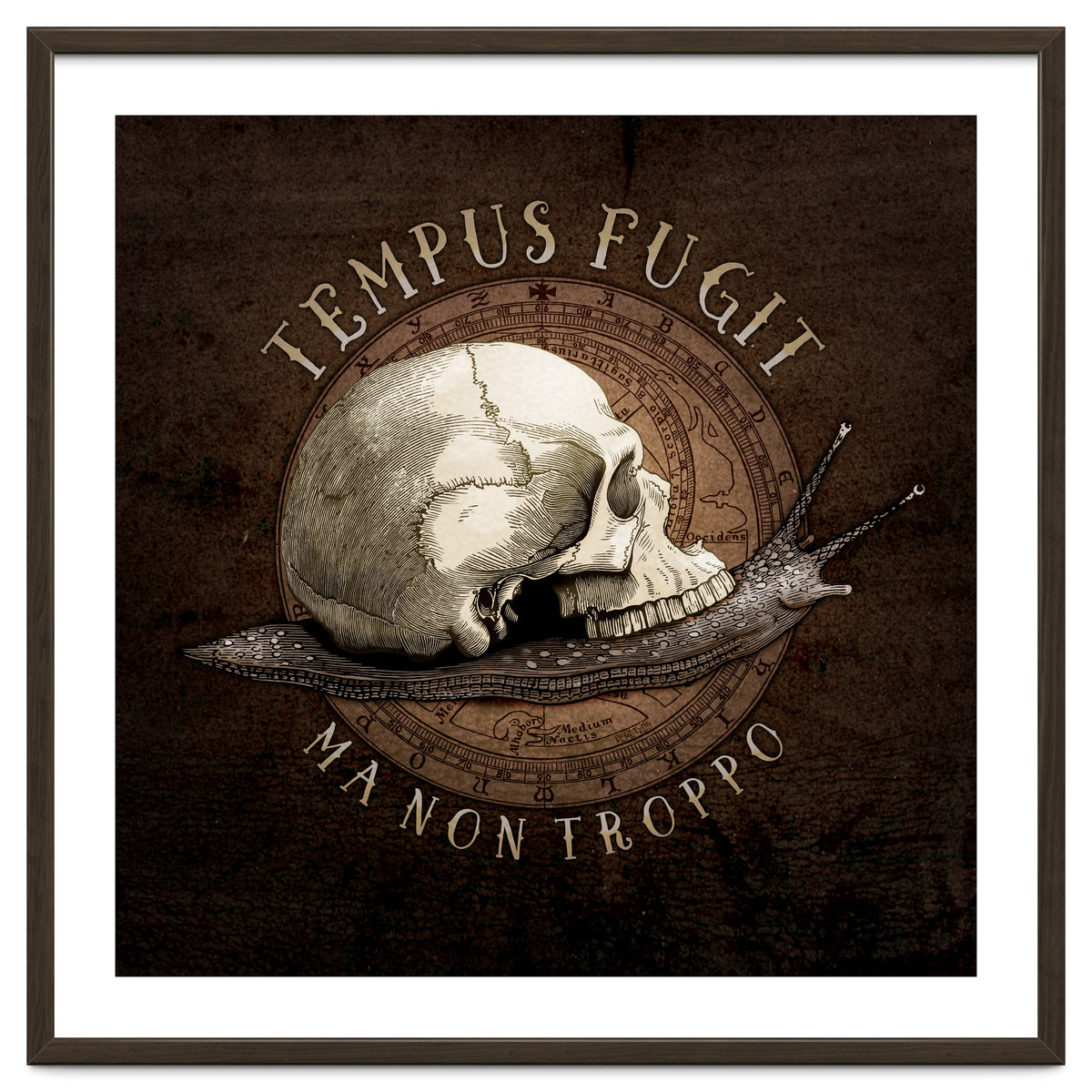 Tempus Fugit (ma non troppo)