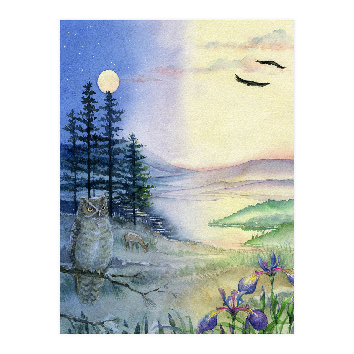 Owl & Twilight (Print Only)