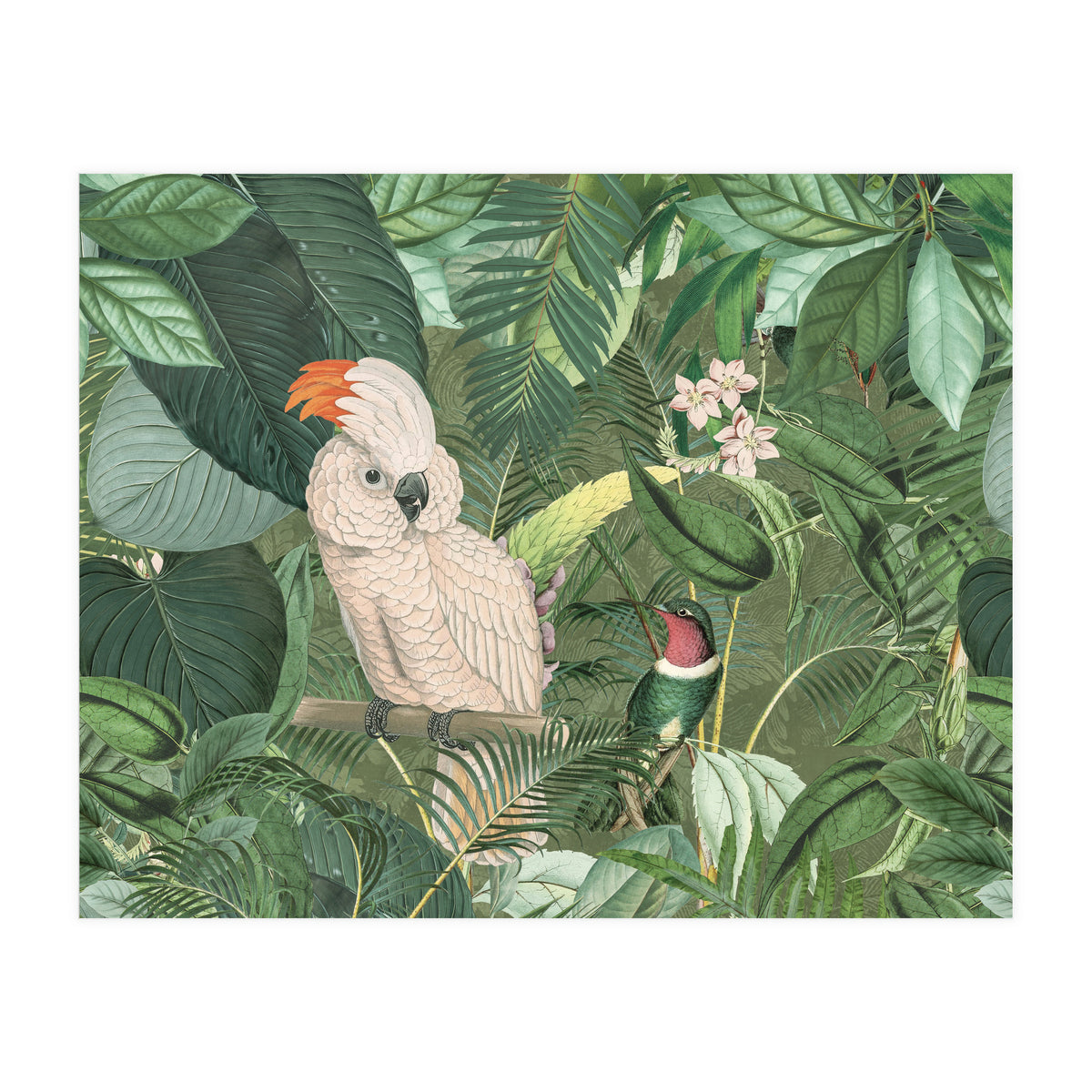 Jungle Friends (Print Only)
