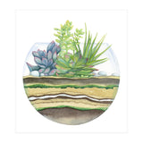 A Little Green Terrarium (Print Only) thumbnail