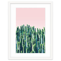 Cactus & Sunset II