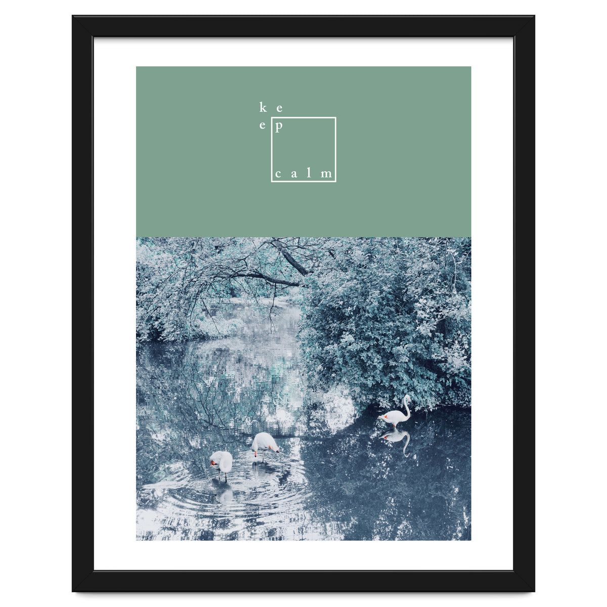 Flamingos - keep calm