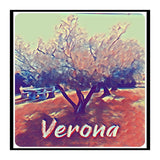 Olive Tree In Verona (Print Only) thumbnail