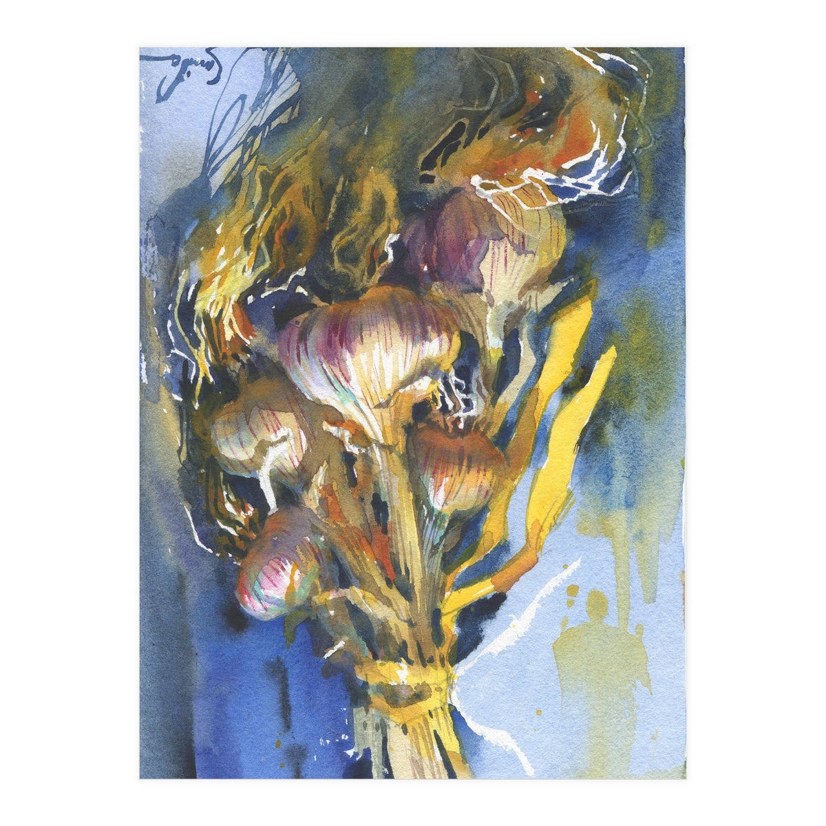 Sunny still life Garlic (Print Only)