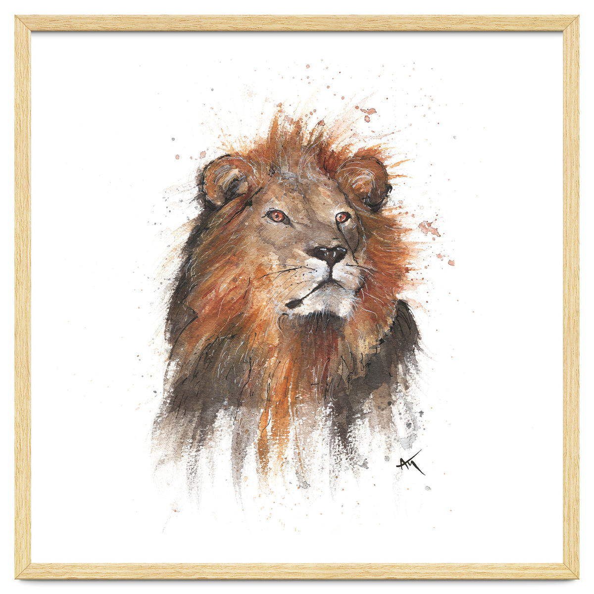 Lion - Wildlife Collection