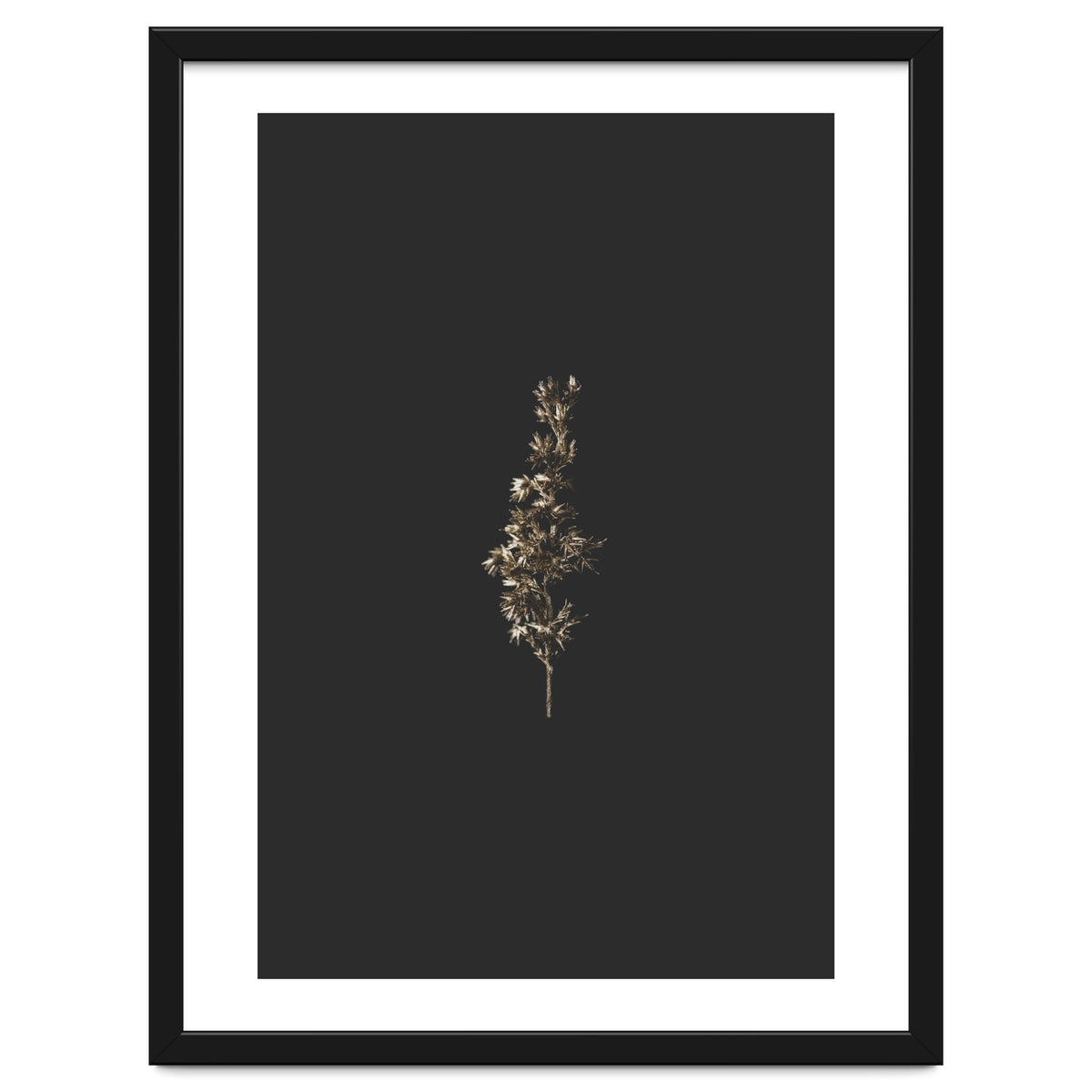 Gold Rush Botanicals