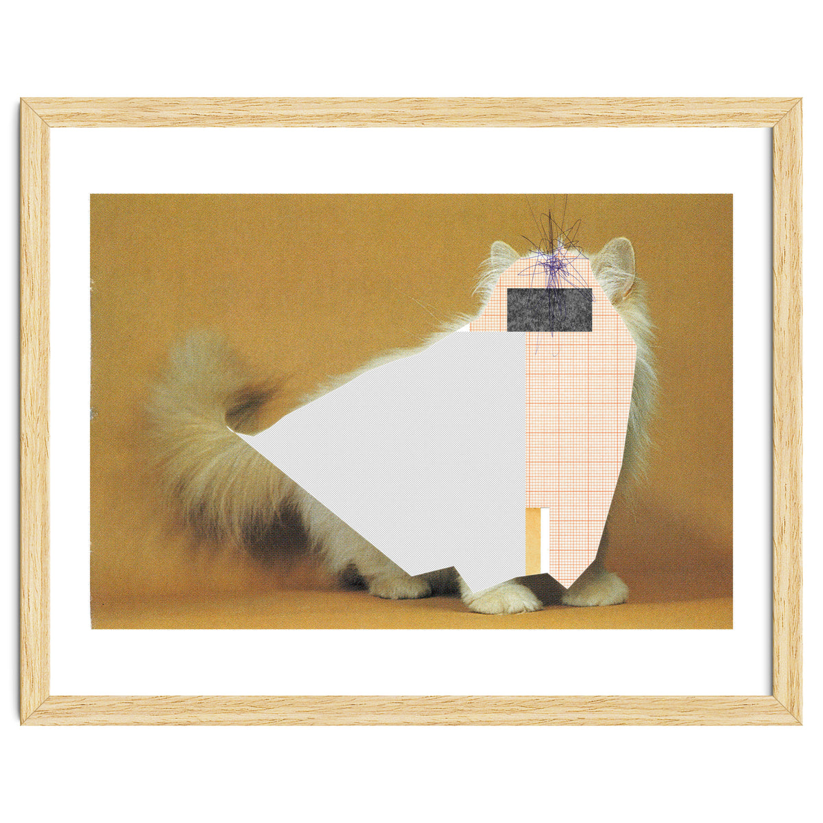 Content Of The Cat 1