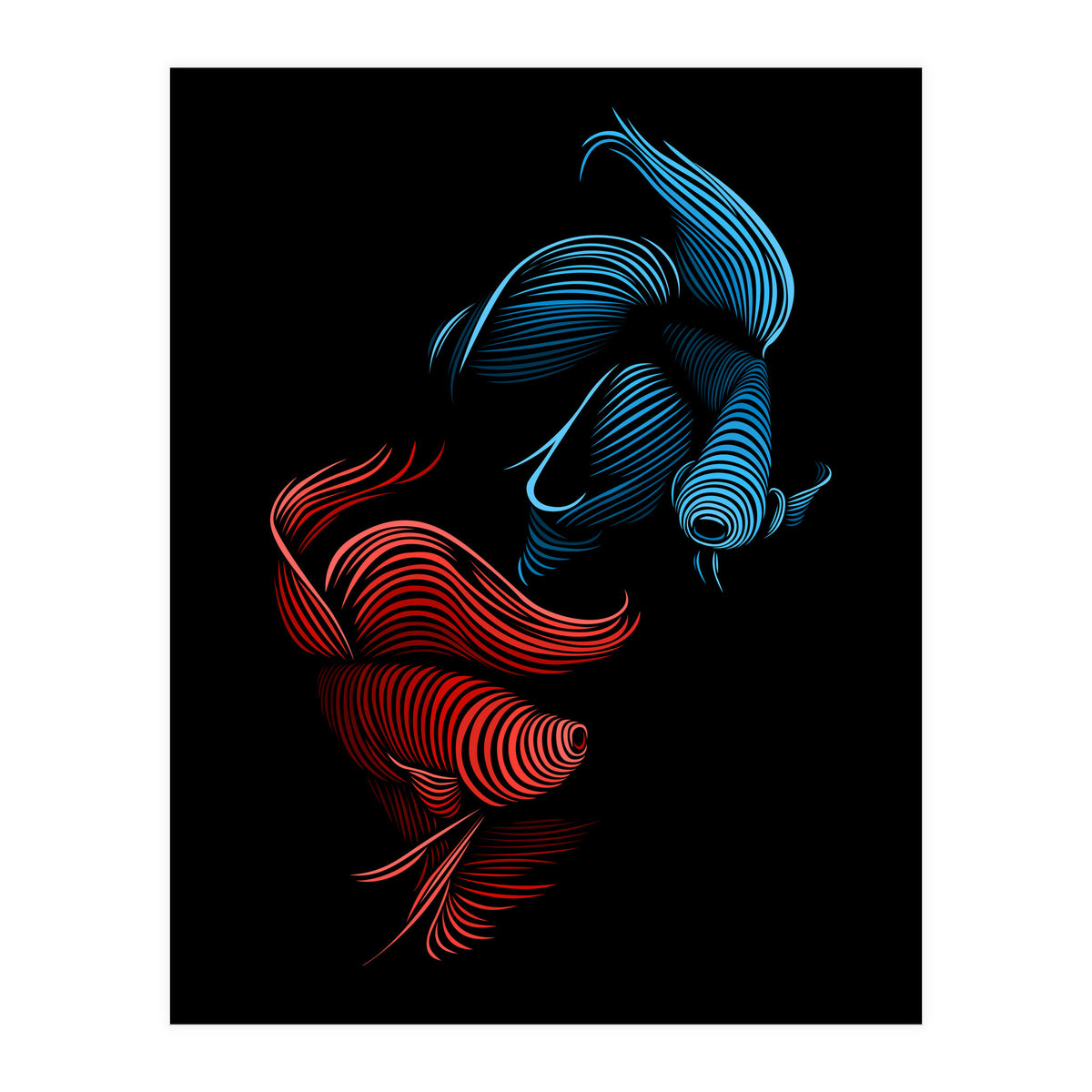 bettas fight (Print Only)
