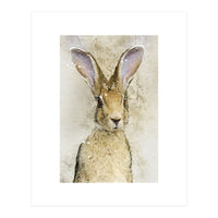 Harriet Hare (Print Only)