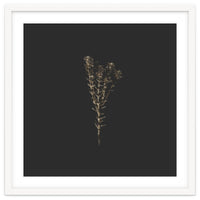 Moody Golden Botanicals - Square