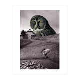 Nocturnal (Print Only) thumbnail