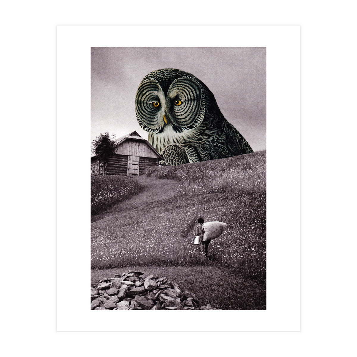 Nocturnal (Print Only)