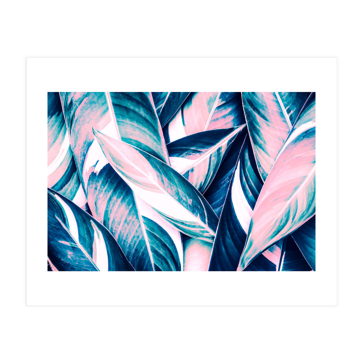 Botanical leaf pink and blue (Print Only)