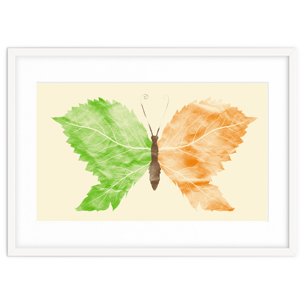 Seasons Change Time Flies