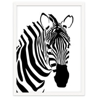 Zebra Stripe - Monochrome