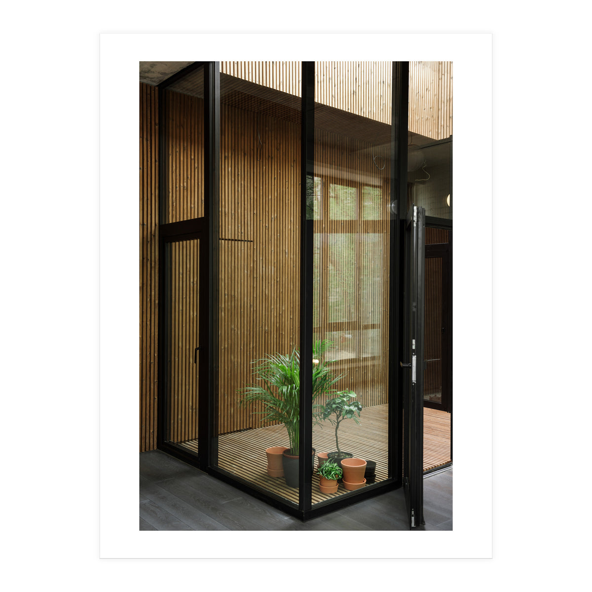 Public Place at my House (Print Only)