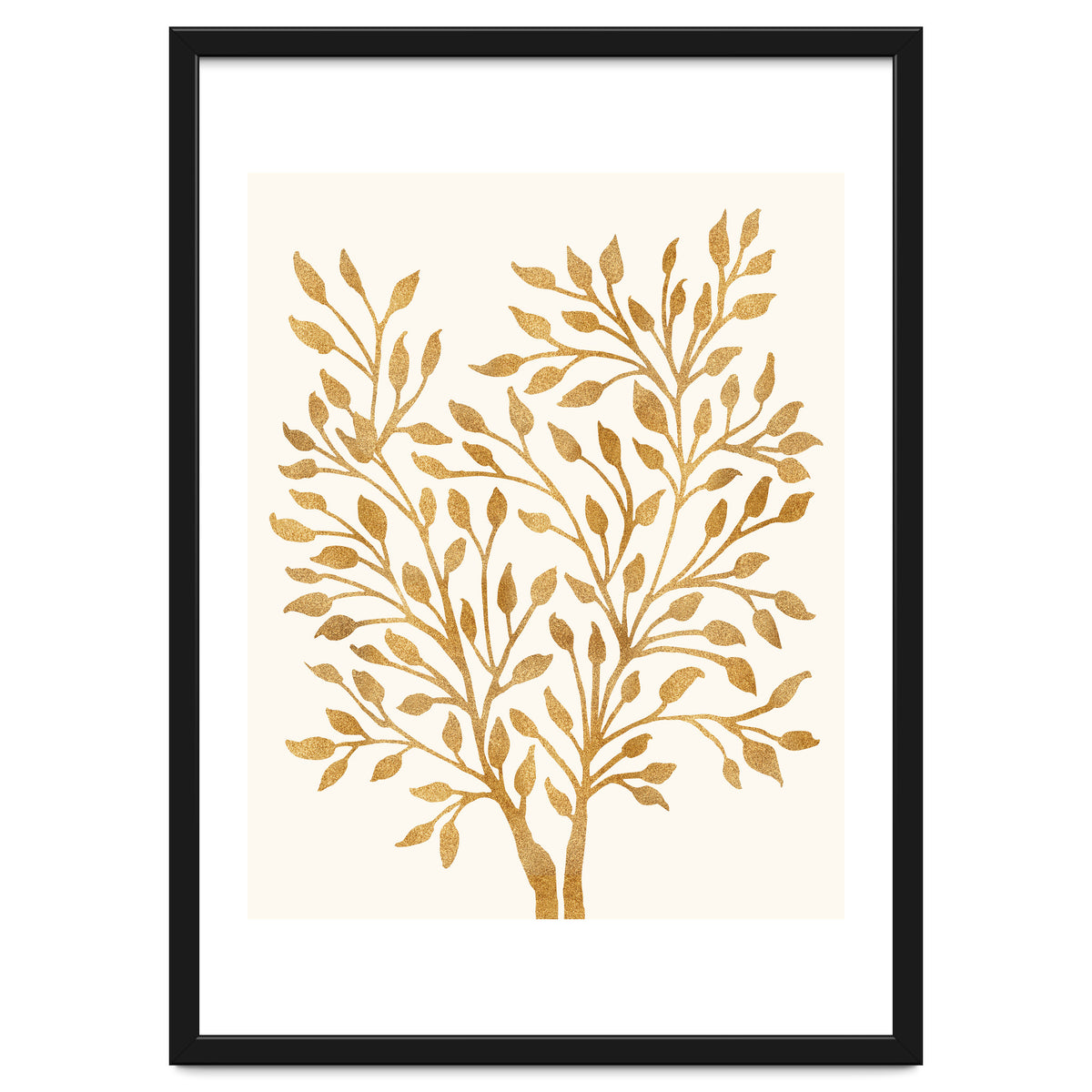 Golden Ficus 4x5
