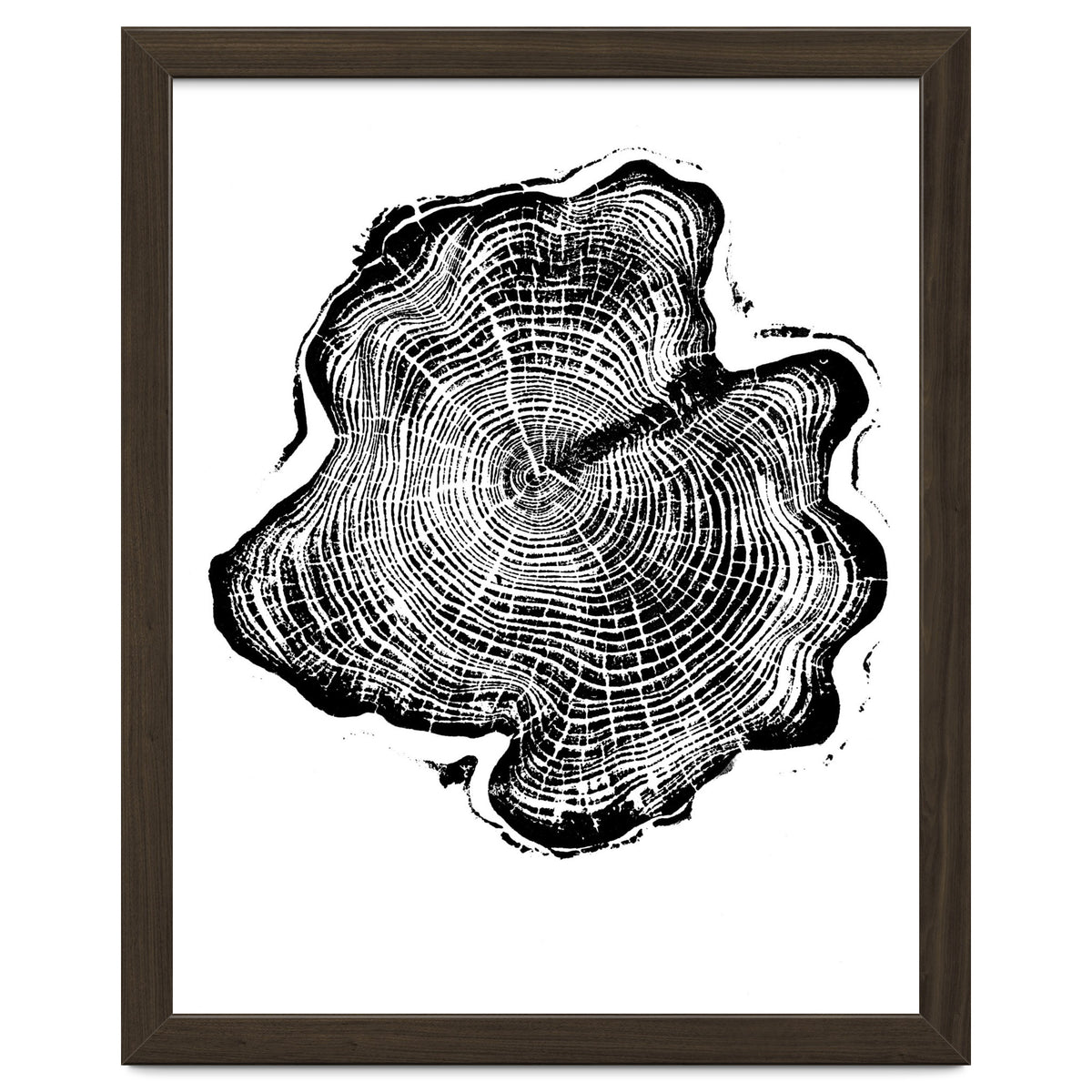 Alaskan Cypress, Tree Ring Art Print, Woodblock
