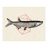 Fish In Geometrics II (Print Only) thumbnail