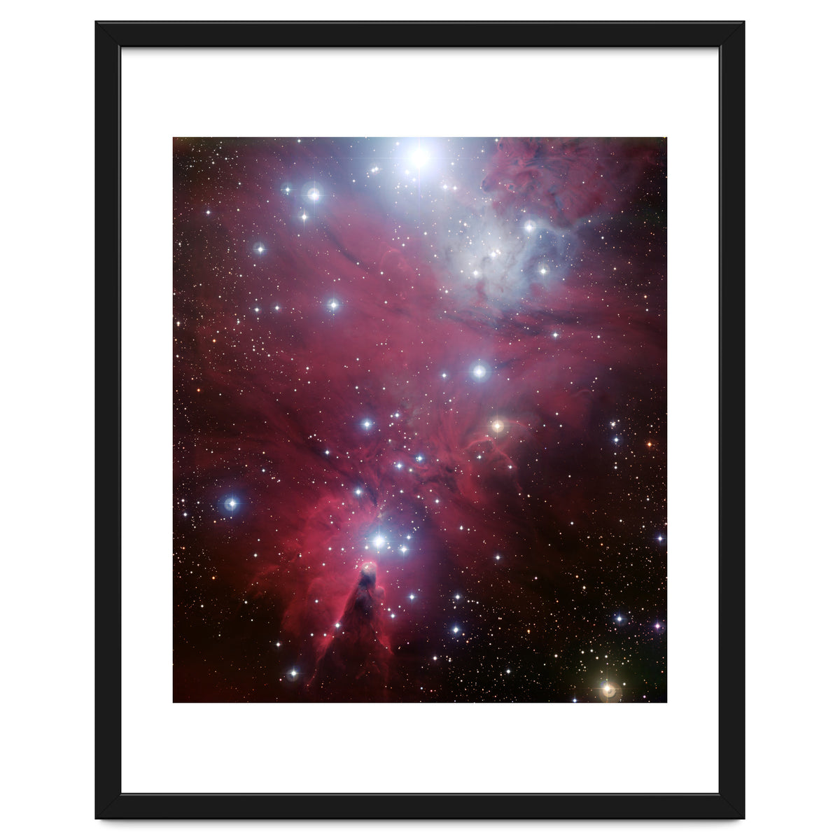 The Christmas Tree Cluster