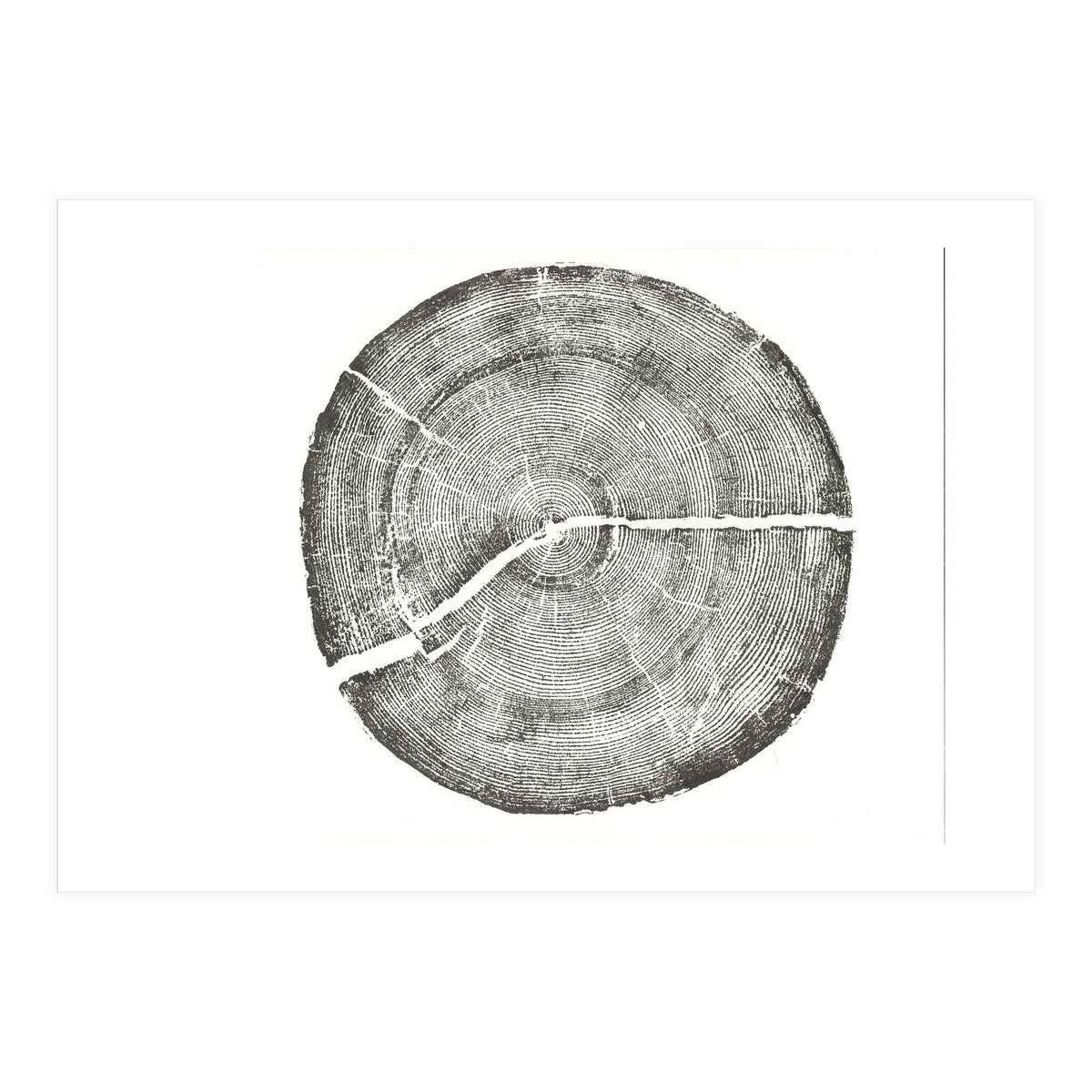 Rock Canyon, Tree Ring Print, Woodblock (Print Only)