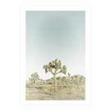Vintage Joshua Tree  (Print Only) thumbnail