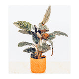 Botany II (Print Only) thumbnail