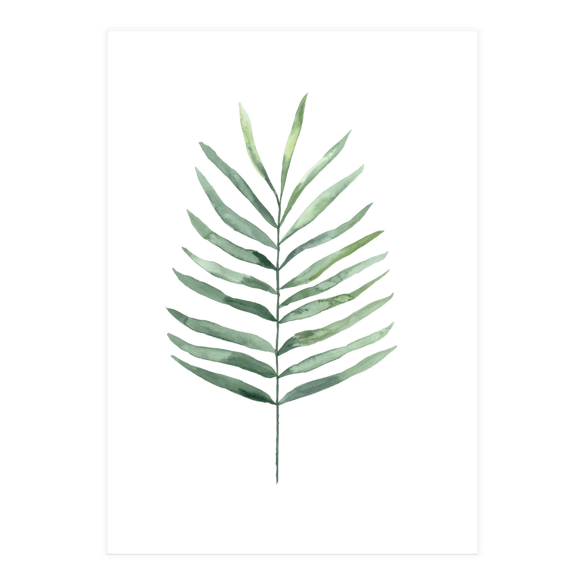 Botanical Illustration Fern (Print Only)