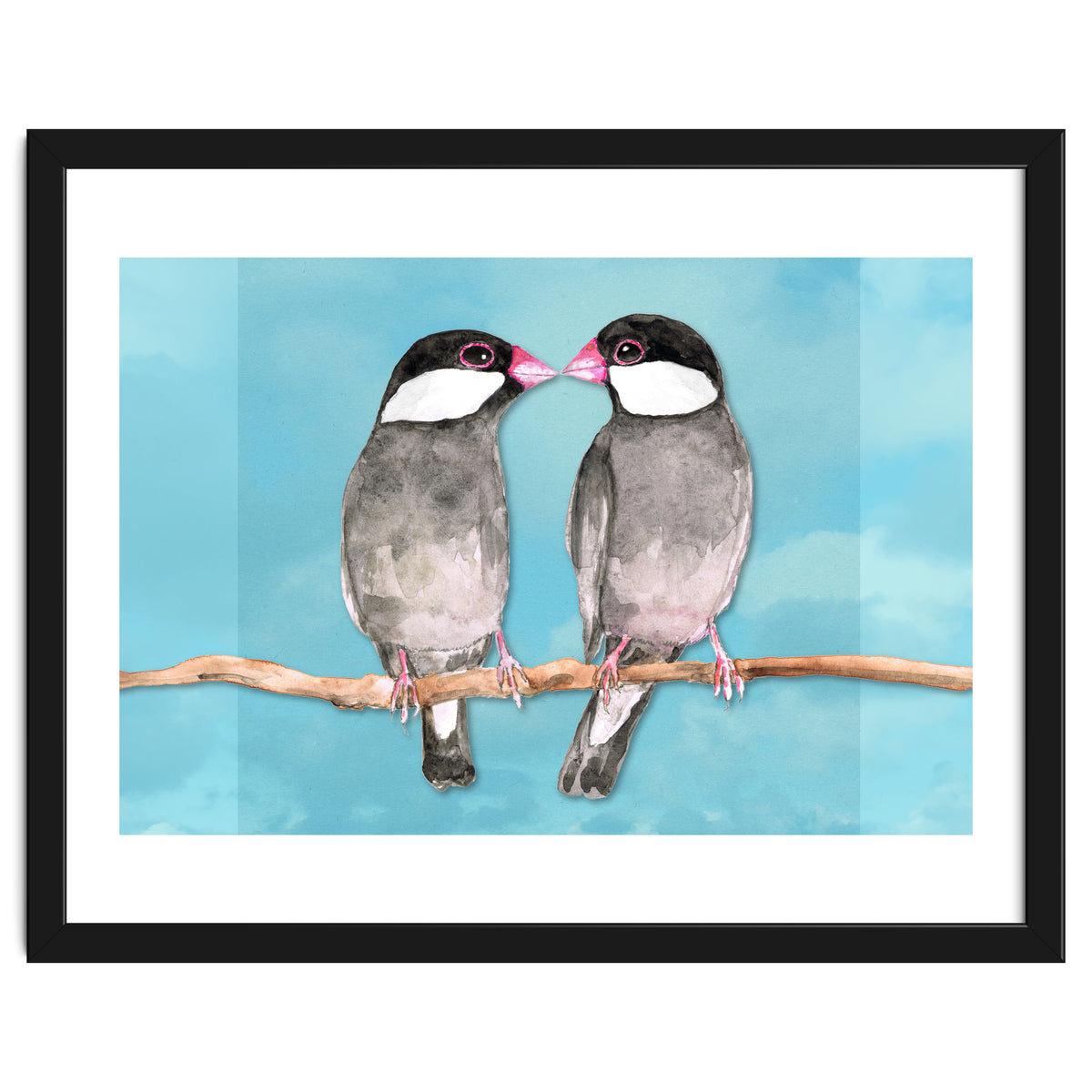 Two kissing Java sparrows
