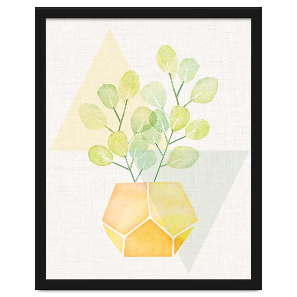 Geometry and House Plant