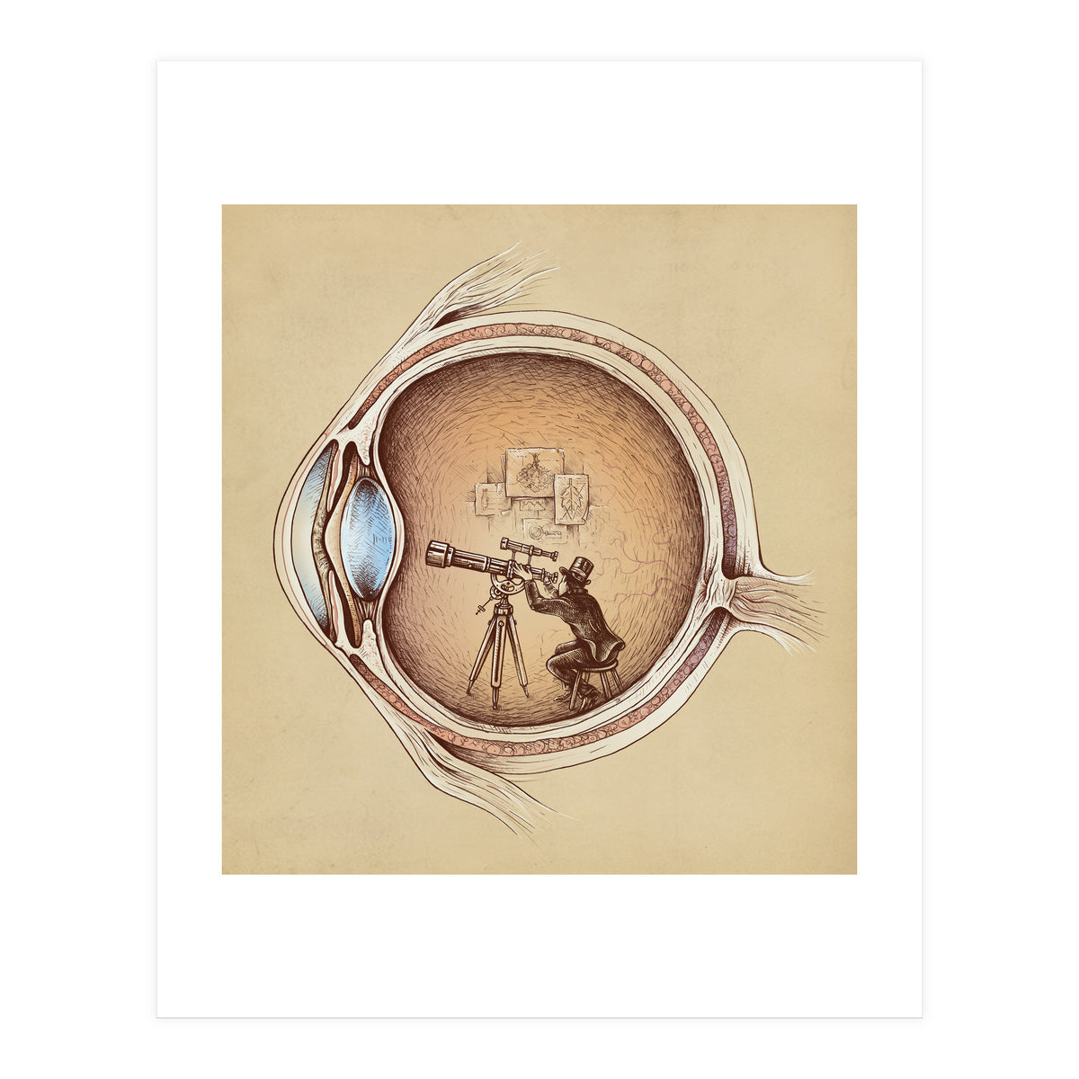 Extraordinary Observer (Print Only)