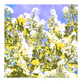 The Contrast Of Desire (Print Only) thumbnail