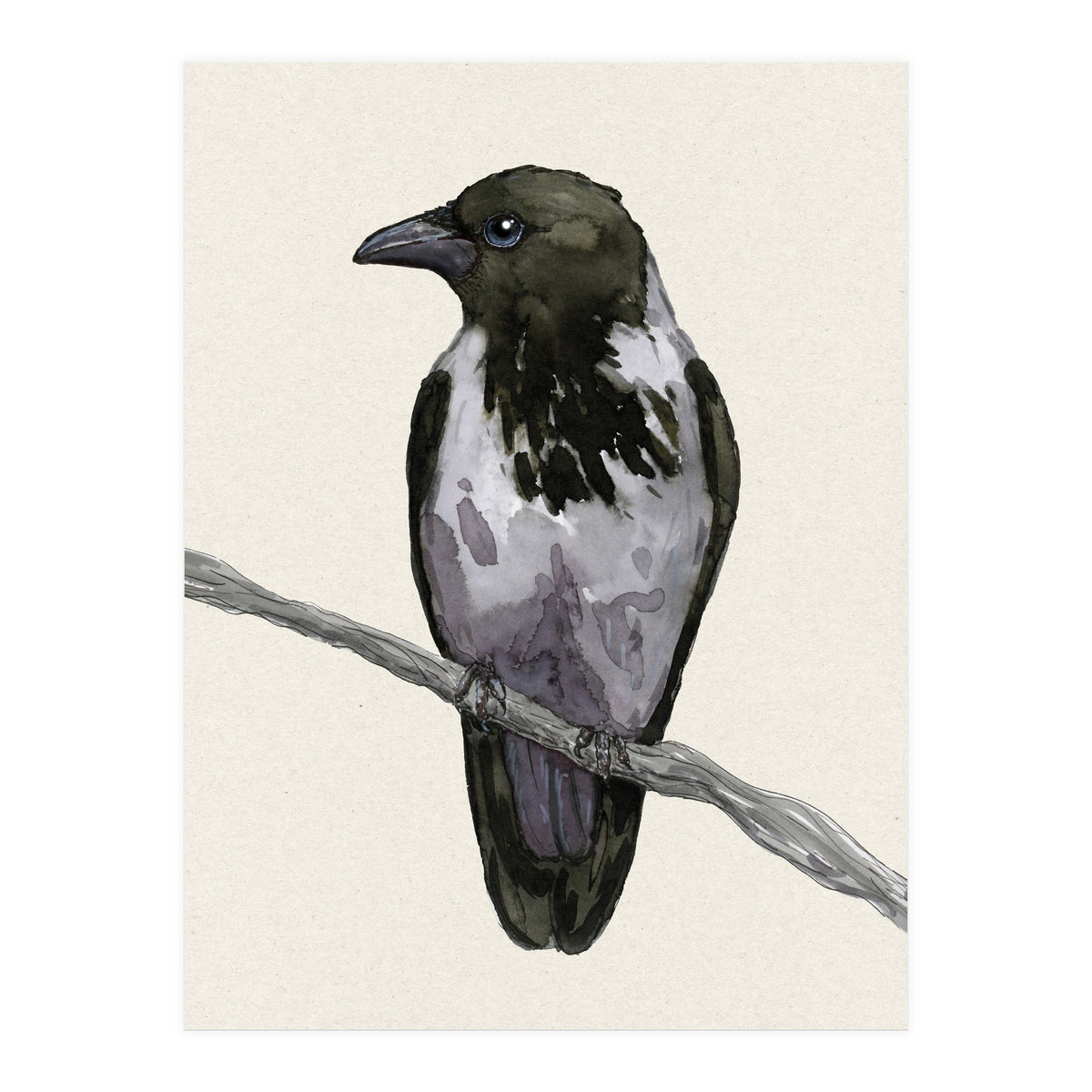 Hooded crow watercolor (Print Only)